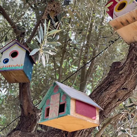 Ruezgar Guelue Butik Отель типа 