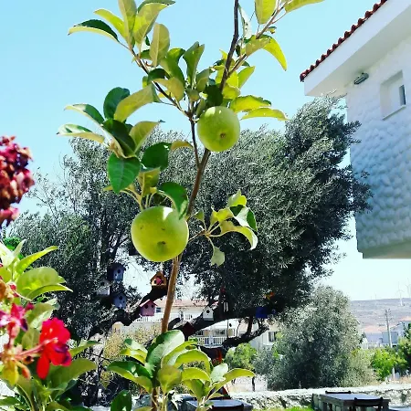 B&B Ruezgar Guelue Butik