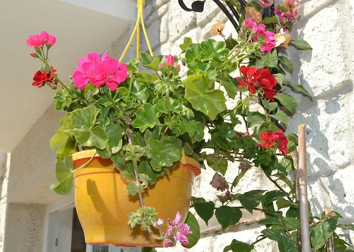 Ruezgar Guelue Butik